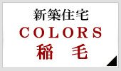 VzZ COLORS